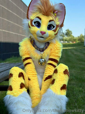 thatyellowkitty