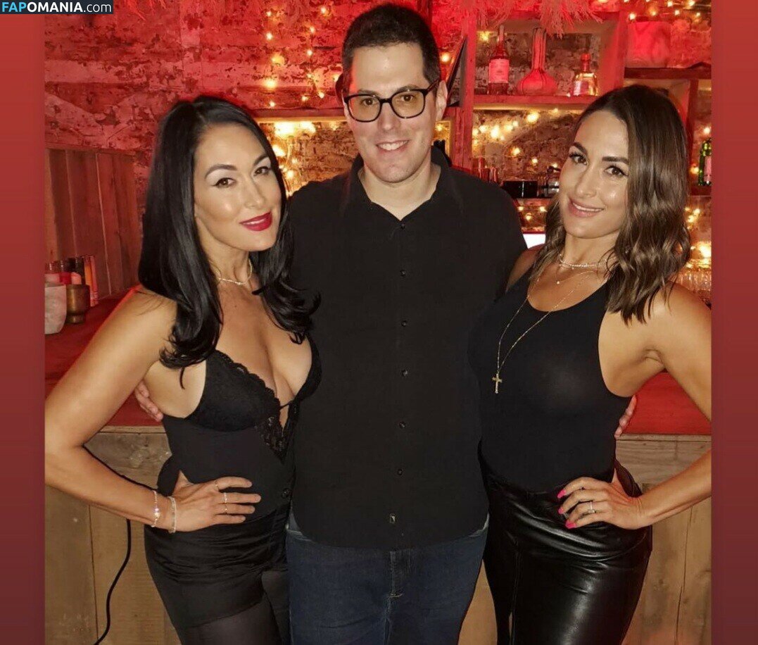 Nikki Bella & Brie Bella / The Bella Twins / thenikkibella Nude OnlyFans  Leaked Photo #202