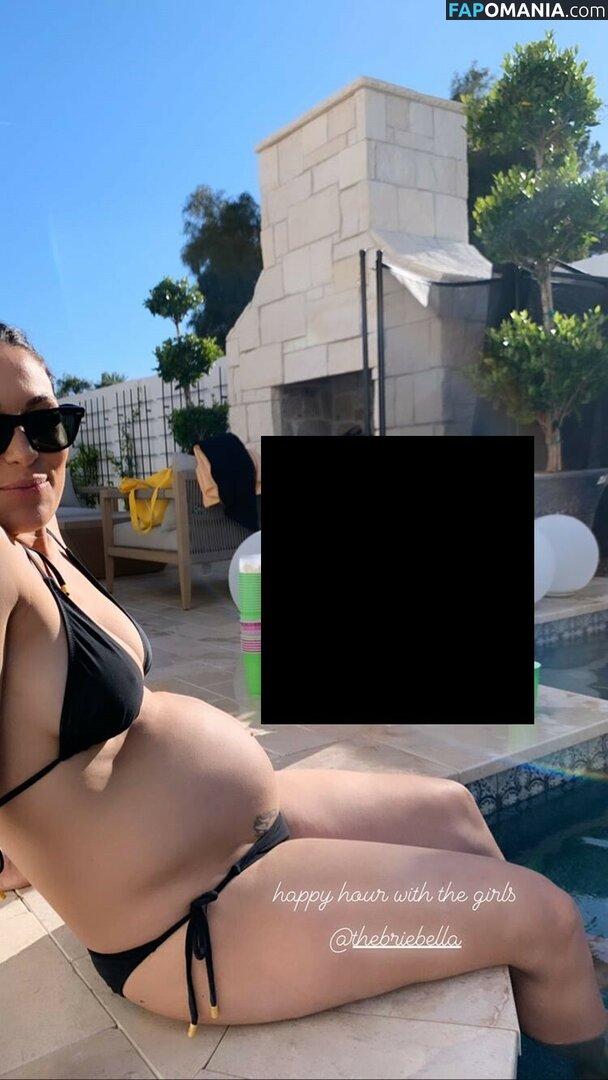 Nikki Bella & Brie Bella / The Bella Twins / thenikkibella Nude OnlyFans  Leaked Photo #266