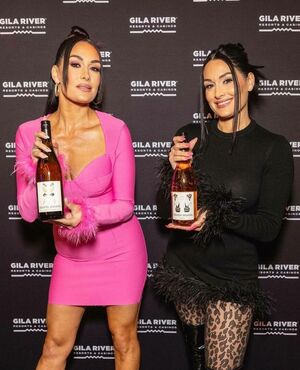 The Bella Twins