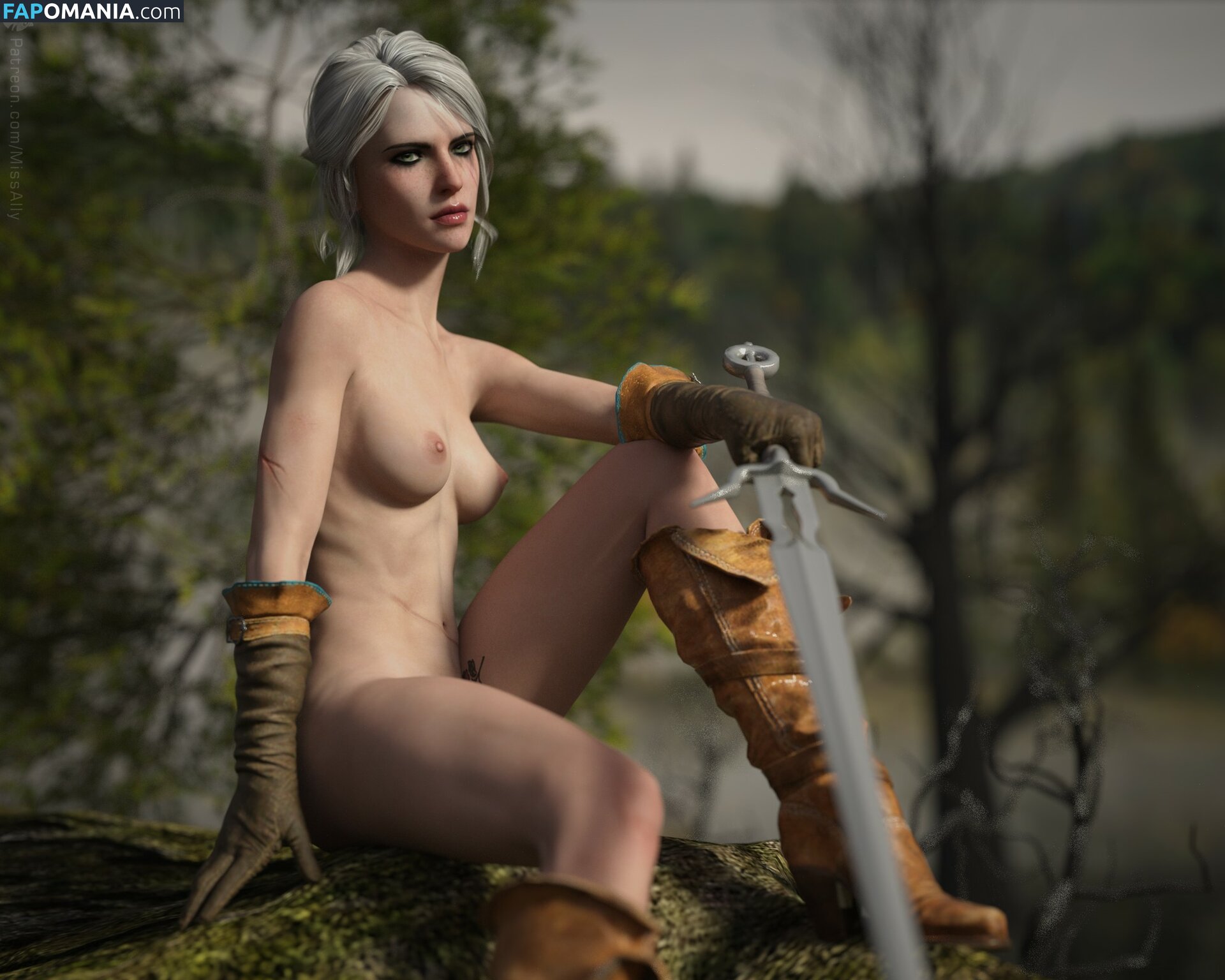 The Witcher Nude OnlyFans  Leaked Photo #781
