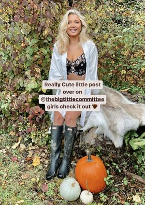 Thebigtittiecommittee