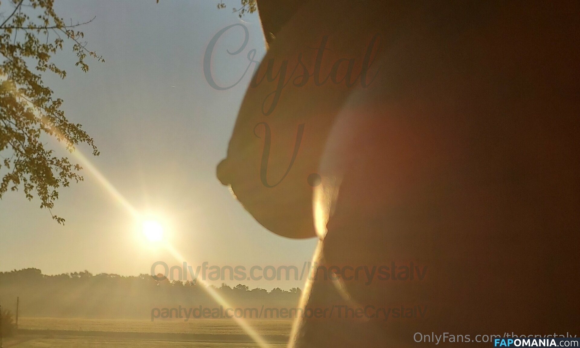 crystallv / thecrystalv Nude OnlyFans  Leaked Photo #11