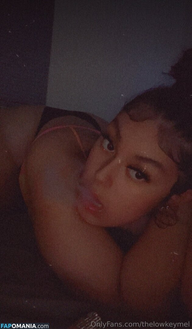 TheLowkeyMel / theofficiallmel Nude OnlyFans  Leaked Photo #1