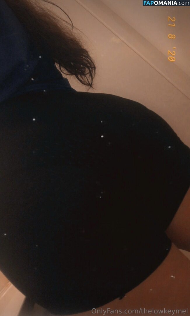 TheLowkeyMel / theofficiallmel Nude OnlyFans  Leaked Photo #7