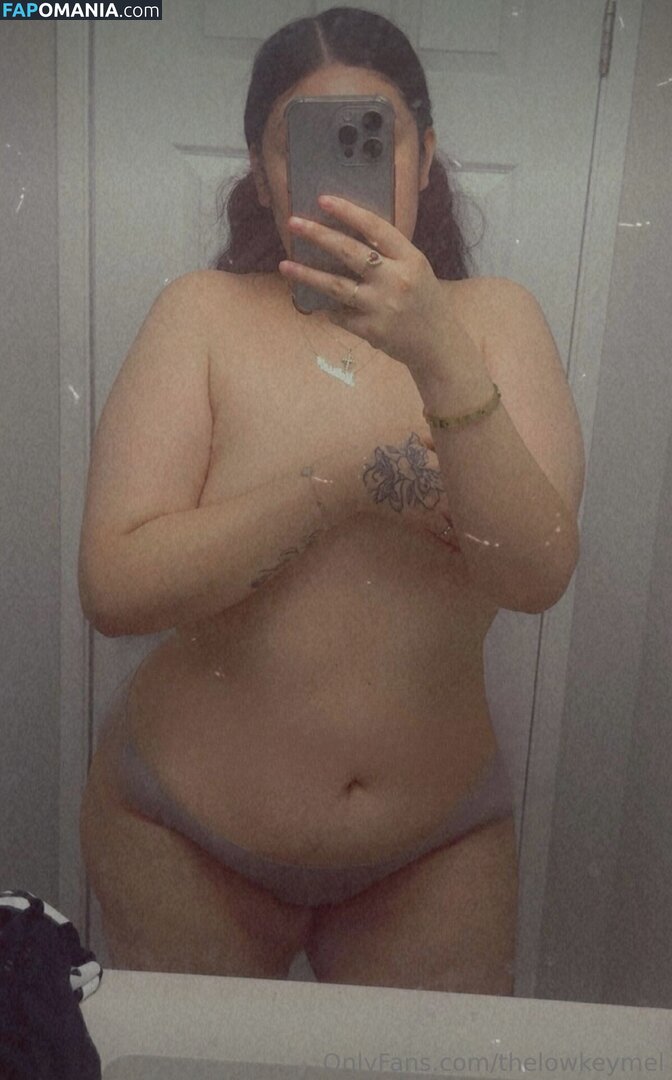 TheLowkeyMel / theofficiallmel Nude OnlyFans  Leaked Photo #12