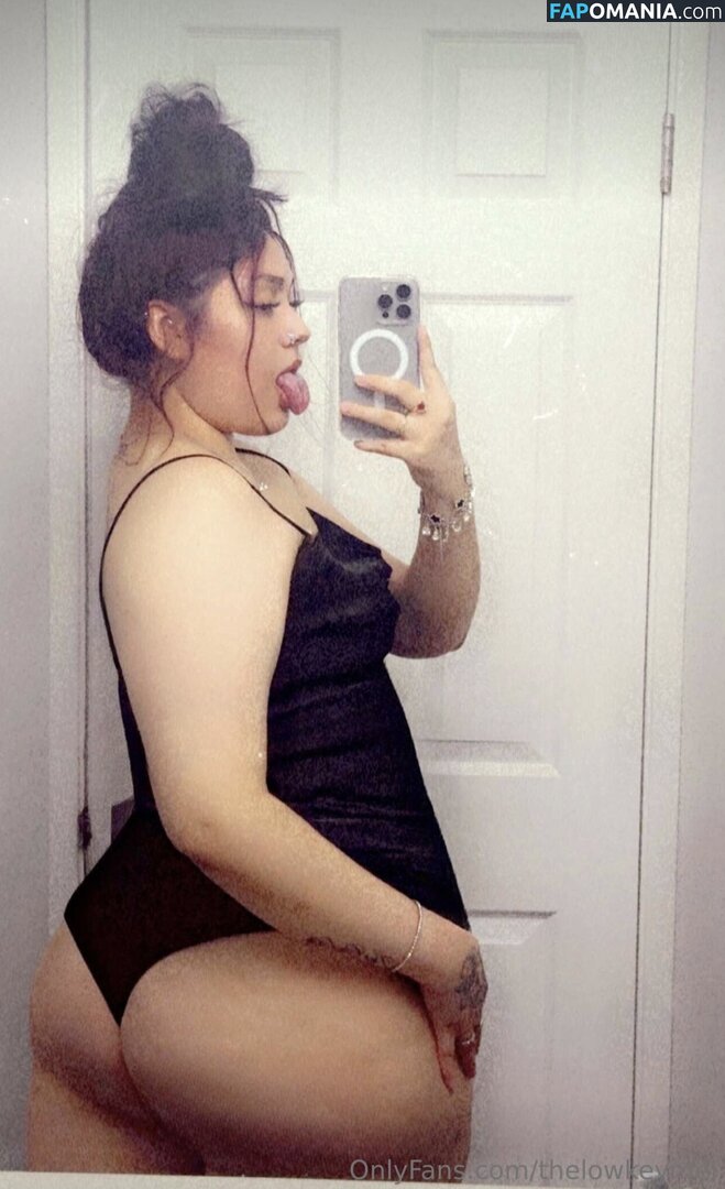 TheLowkeyMel / theofficiallmel Nude OnlyFans  Leaked Photo #13