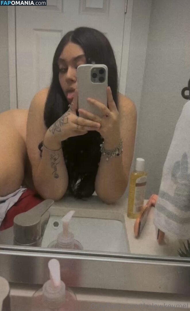 TheLowkeyMel / theofficiallmel Nude OnlyFans  Leaked Photo #14