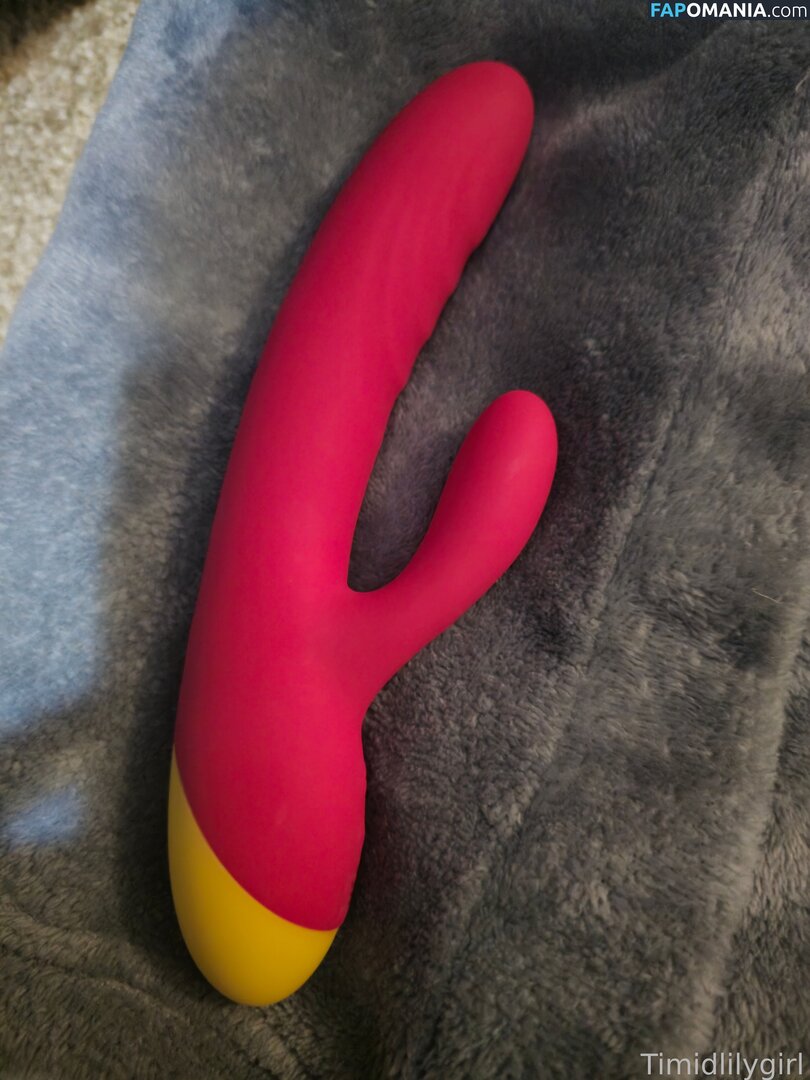 Timidlilygirl / timidgirll Nude OnlyFans  Leaked Photo #19