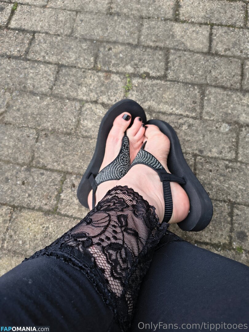 tippitoesdance / tippitooes Nude OnlyFans  Leaked Photo #3