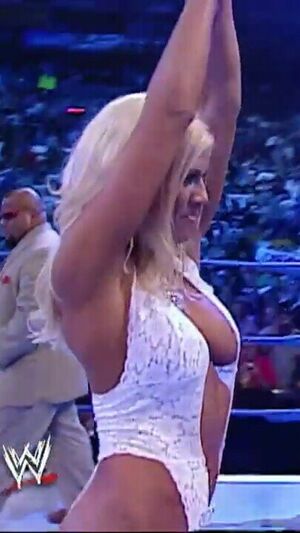 Torrie Wilson