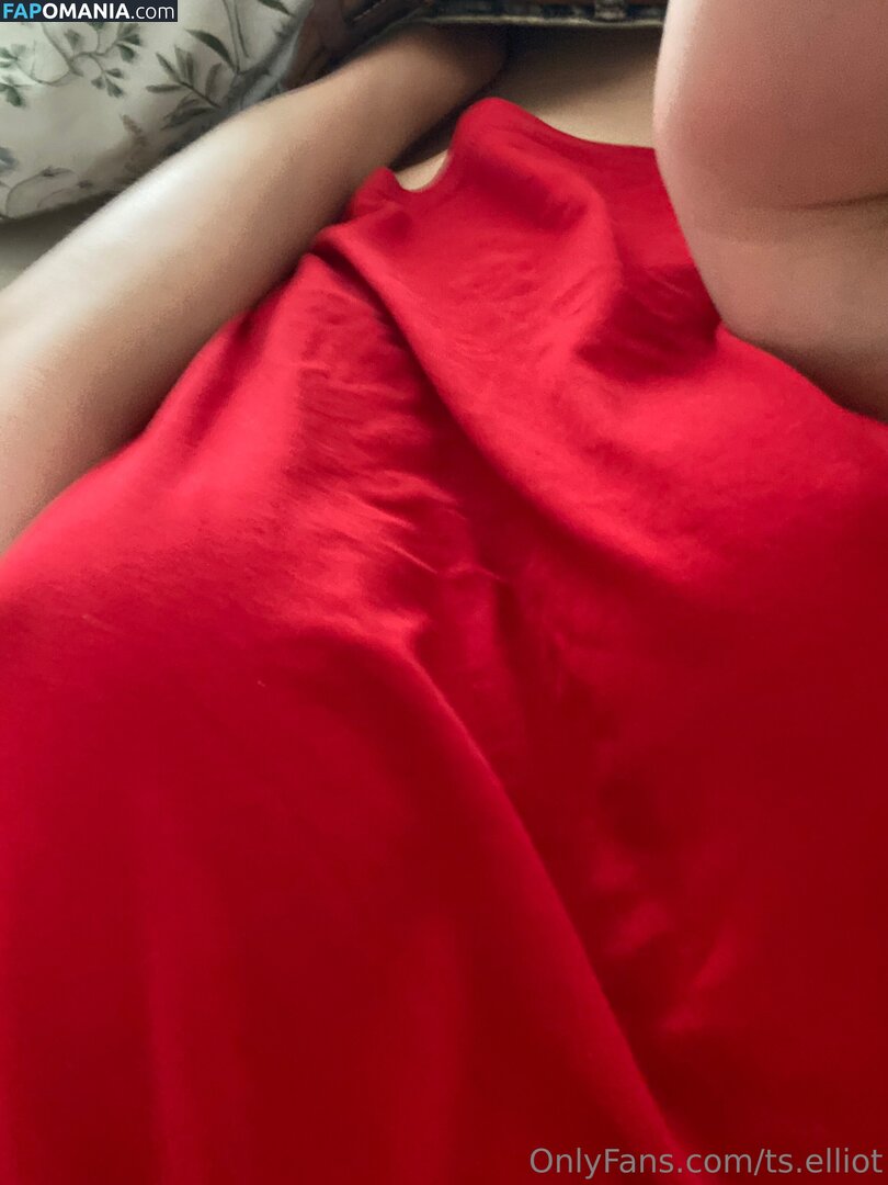 ts.elliot / ts_eliot1888 Nude OnlyFans  Leaked Photo #3