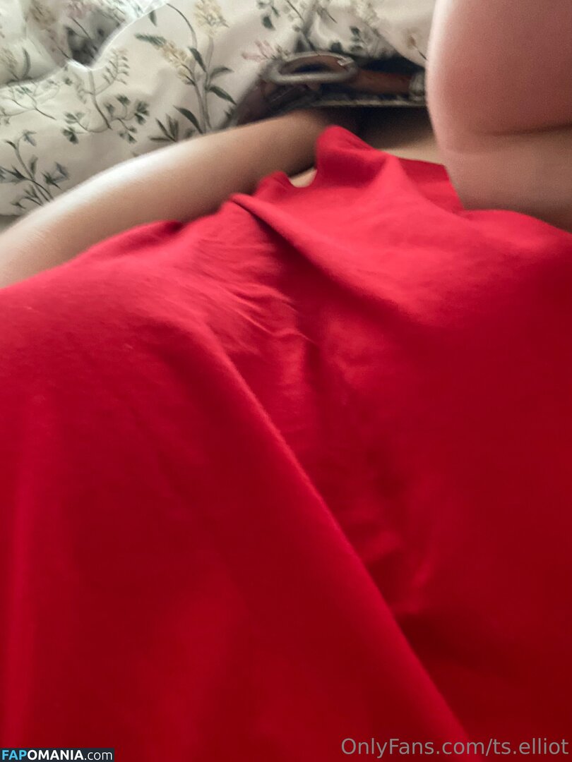 ts.elliot / ts_eliot1888 Nude OnlyFans  Leaked Photo #4
