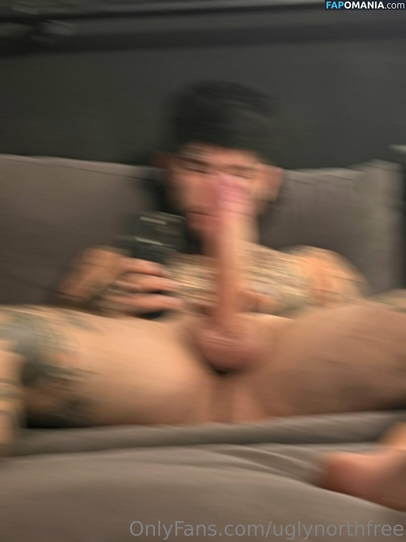 uglynorthfree Nude OnlyFans  Leaked Photo #23