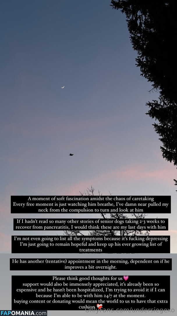 undersiegexo Nude OnlyFans  Leaked Photo #1