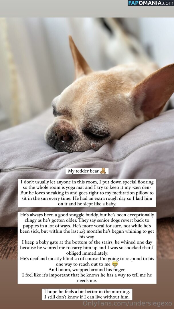 undersiegexo Nude OnlyFans  Leaked Photo #2