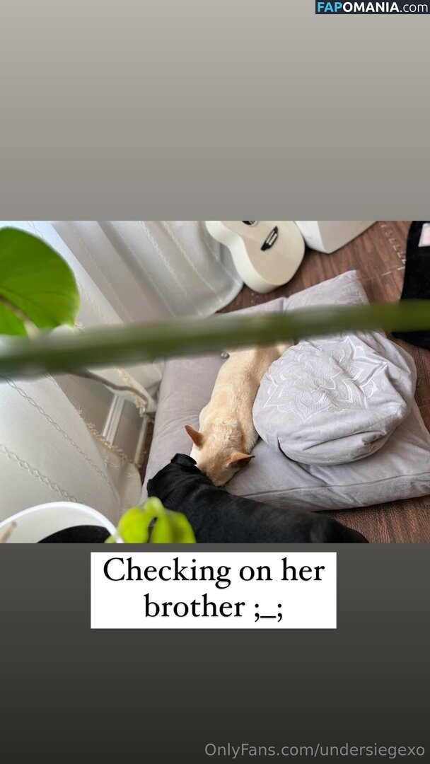 undersiegexo Nude OnlyFans  Leaked Photo #3