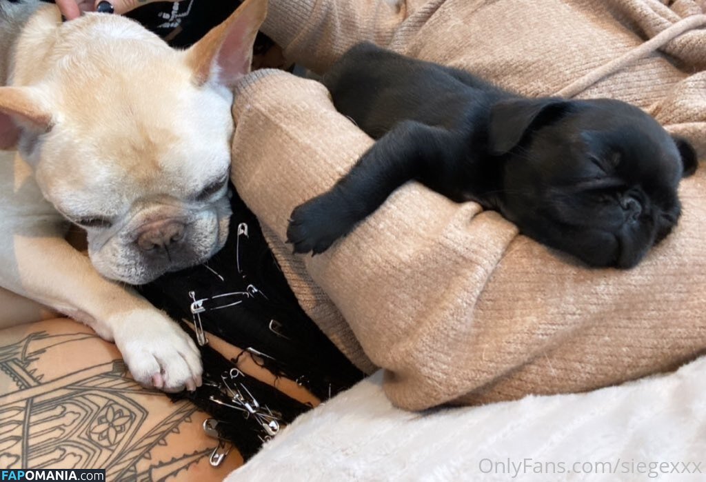 undersiegexo Nude OnlyFans  Leaked Photo #8