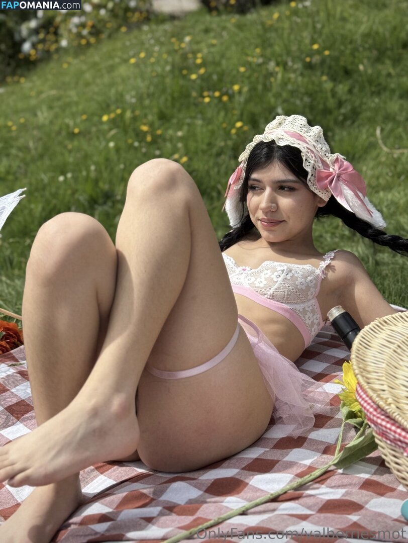 Valberriesmot Nude OnlyFans  Leaked Photo #5