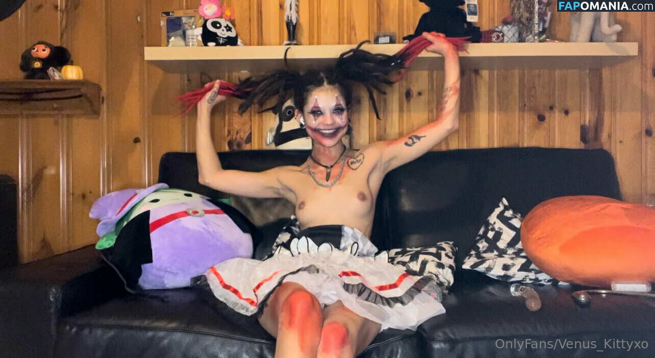 venus_kittyxo / venuskittyxo2.0 Nude OnlyFans  Leaked Photo #145