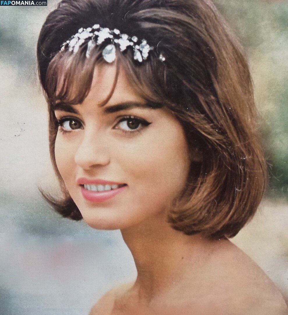 Vintage Starlets Nude OnlyFans  Leaked Photo #396