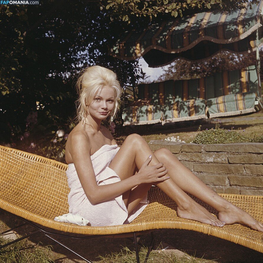 Vintage Starlets Nude OnlyFans  Leaked Photo #472