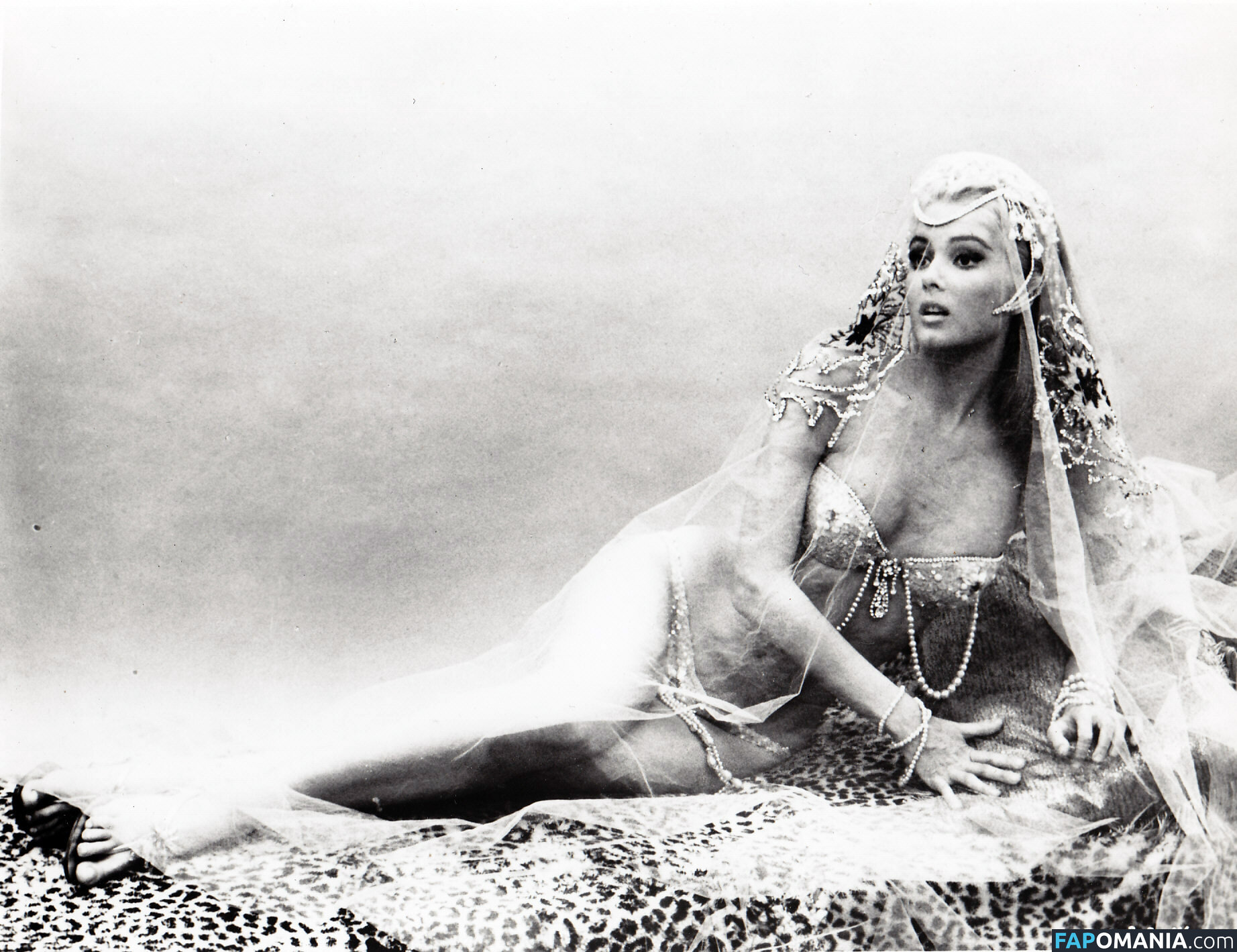 Vintage Starlets Nude OnlyFans  Leaked Photo #543