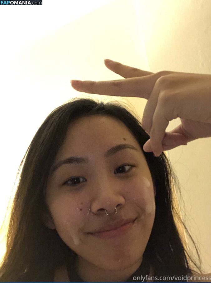 VoidPrincess / princessvoidd Nude OnlyFans  Leaked Photo #4