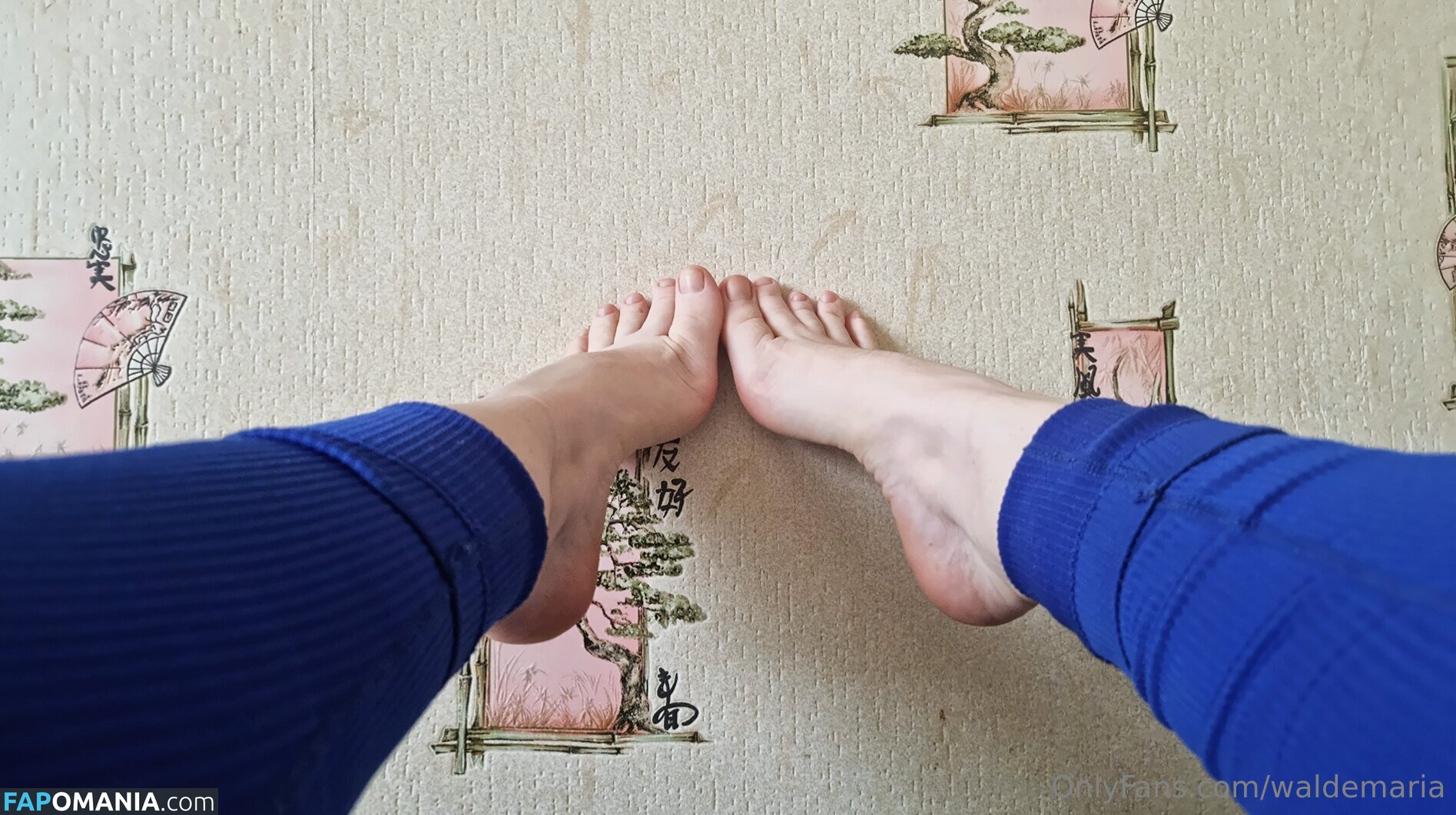 waldamaria / waldemaria Nude OnlyFans  Leaked Photo #4