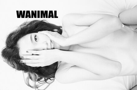 Wanimal Models