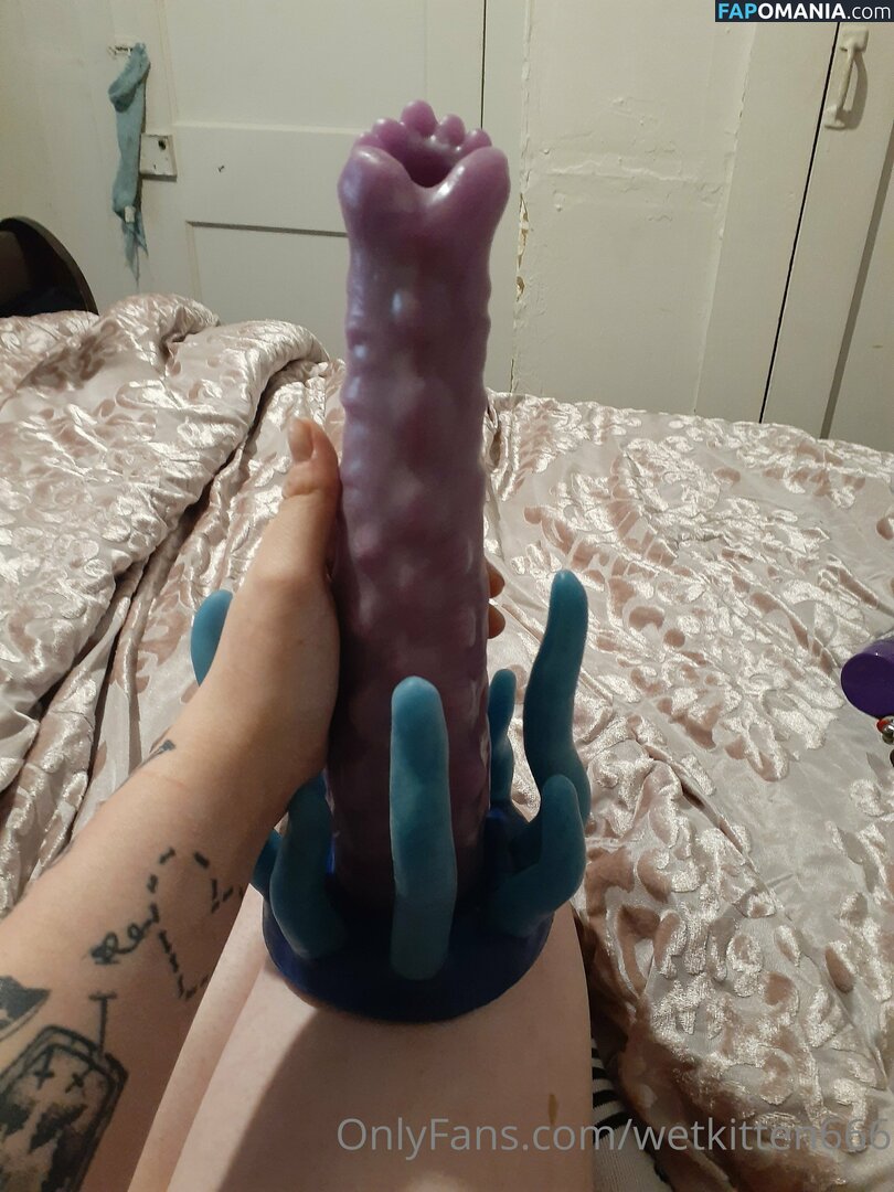 kitty.valentine.92372 / wetkitten666 Nude OnlyFans  Leaked Photo #13