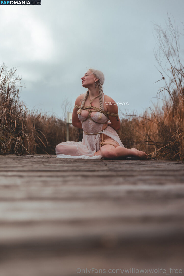 willowxwolfe / willowxwolfe_free Nude OnlyFans  Leaked Photo #11