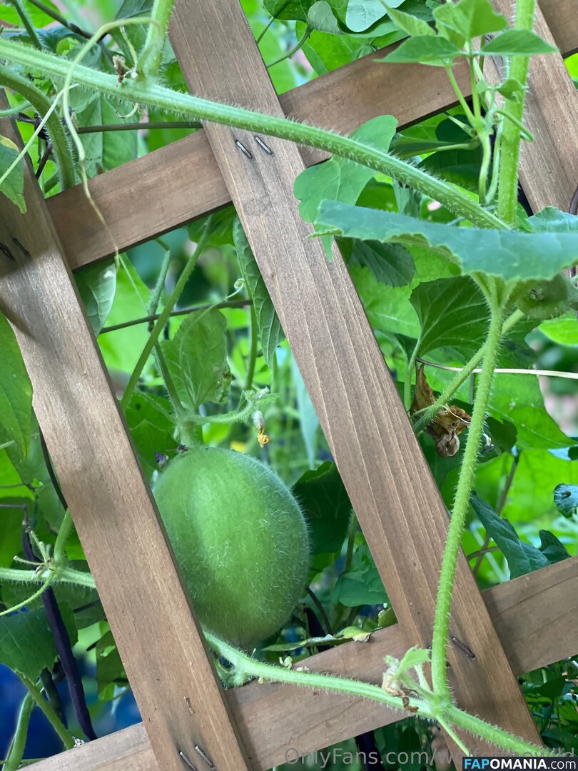 wolfofthewild / wolfofthewildd Nude OnlyFans  Leaked Photo #8