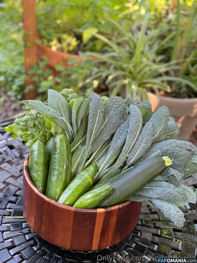 wolfofthewild / wolfofthewildd Nude OnlyFans  Leaked Photo #10