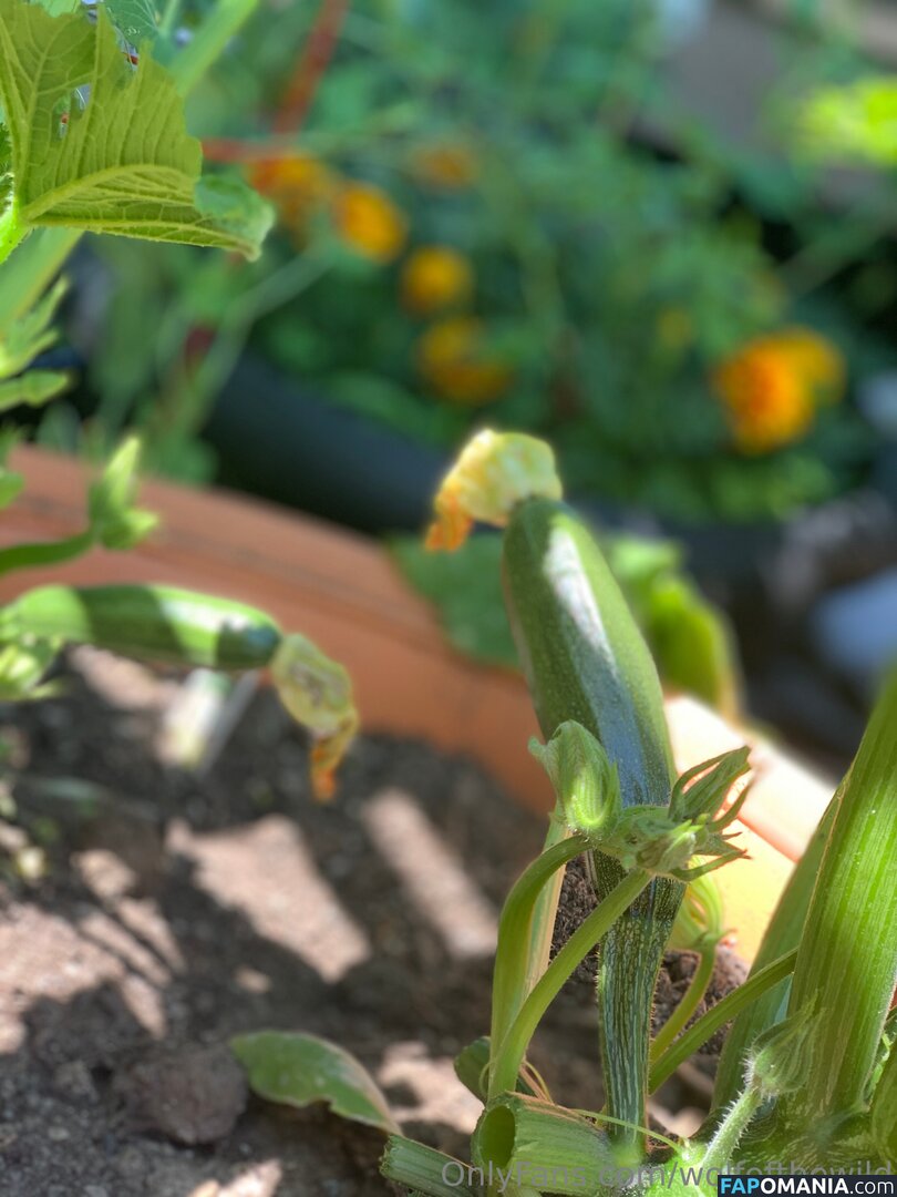 wolfofthewild / wolfofthewildd Nude OnlyFans  Leaked Photo #13