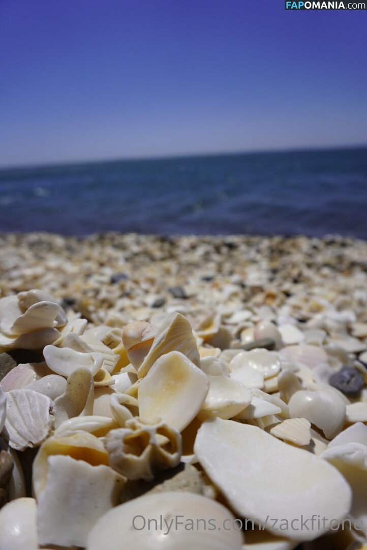 zackfitone Nude OnlyFans  Leaked Photo #15