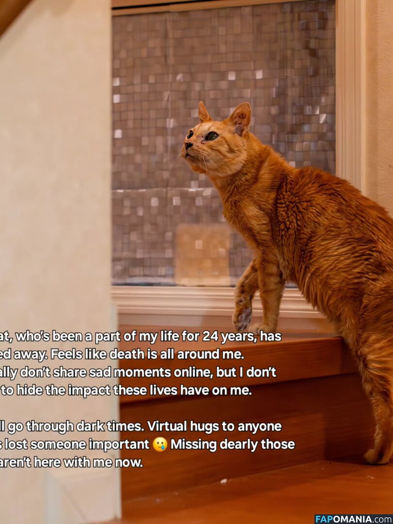 Zumi / zestyzumi Nude OnlyFans  Leaked Photo #120